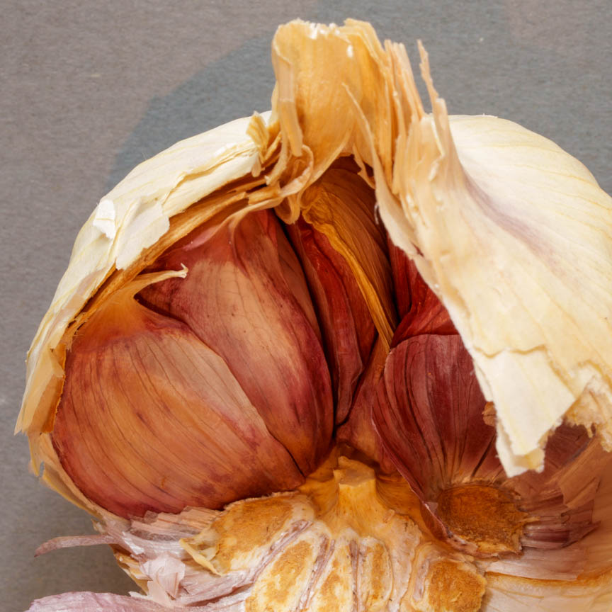 Francis Drake Bowls Club, Hilly Fields, Brockley, SE4 1QE. Garlic