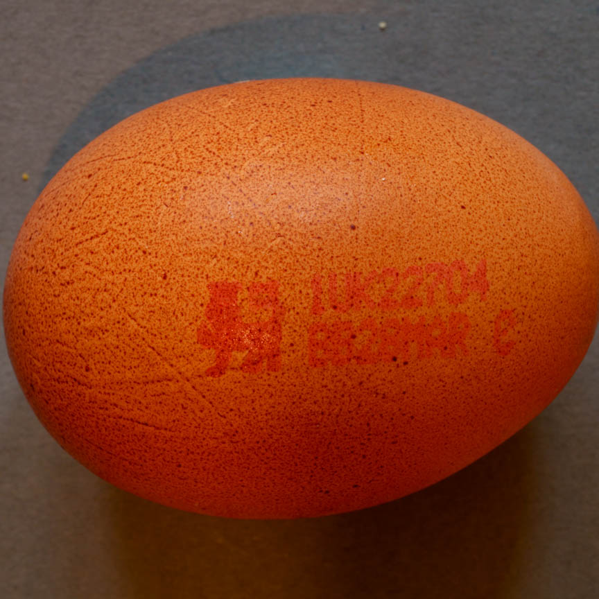 Francis Drake Bowls Club, Hilly Fields, Brockley, SE4 1QE. Egg